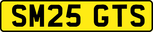 SM25GTS