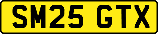 SM25GTX