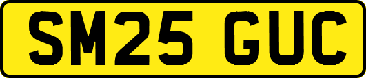 SM25GUC