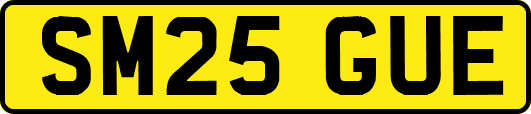 SM25GUE