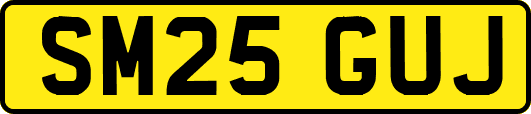 SM25GUJ