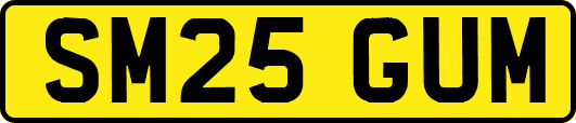 SM25GUM