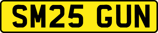 SM25GUN