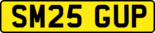 SM25GUP