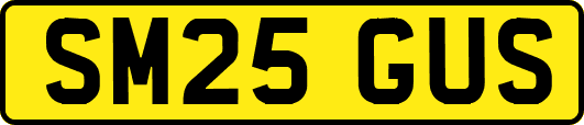 SM25GUS