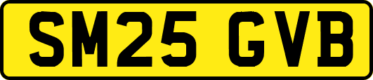 SM25GVB