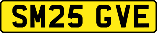 SM25GVE