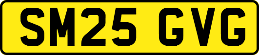 SM25GVG