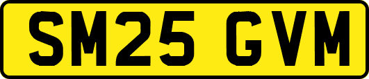 SM25GVM