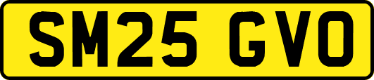 SM25GVO
