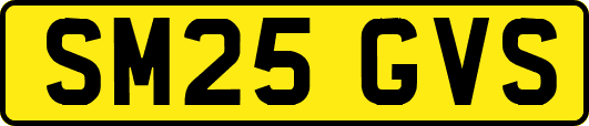 SM25GVS