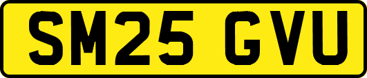 SM25GVU