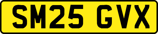 SM25GVX