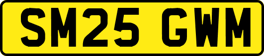 SM25GWM