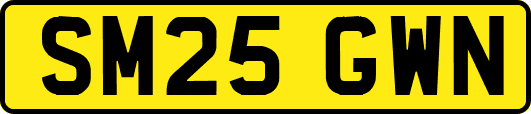 SM25GWN