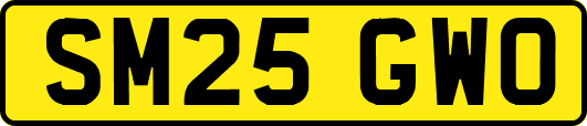 SM25GWO