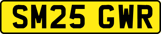 SM25GWR
