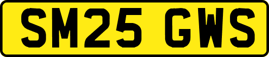 SM25GWS