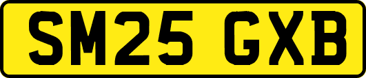 SM25GXB