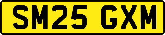 SM25GXM