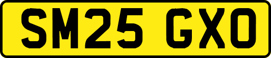 SM25GXO
