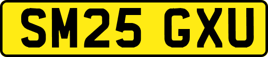 SM25GXU