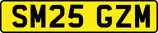 SM25GZM