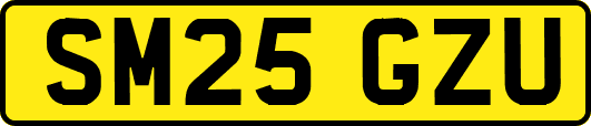 SM25GZU