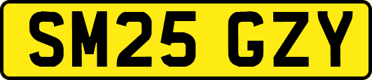 SM25GZY