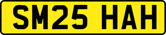 SM25HAH