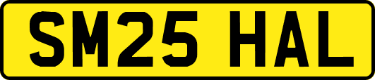 SM25HAL