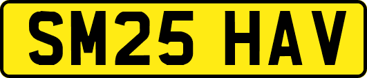 SM25HAV