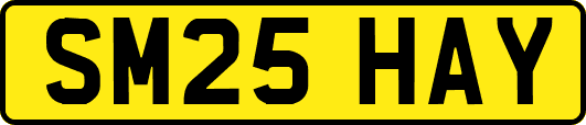 SM25HAY