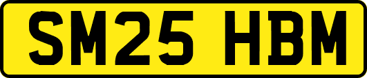 SM25HBM