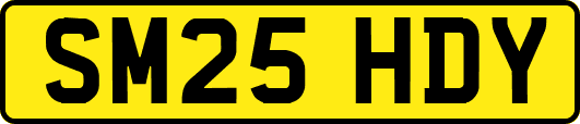 SM25HDY