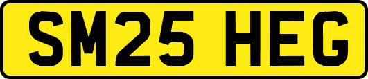SM25HEG