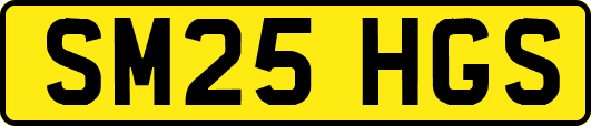 SM25HGS