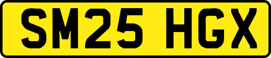 SM25HGX