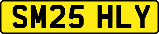SM25HLY