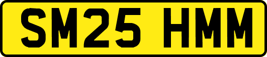 SM25HMM