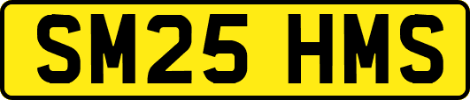 SM25HMS