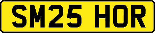 SM25HOR