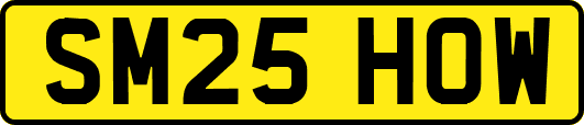 SM25HOW