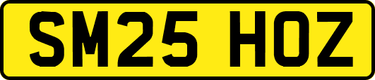 SM25HOZ
