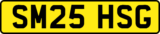 SM25HSG