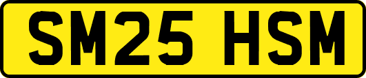 SM25HSM