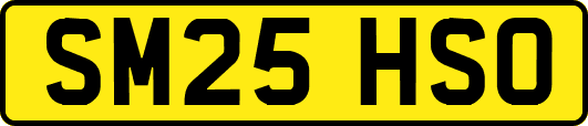 SM25HSO