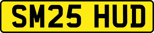 SM25HUD