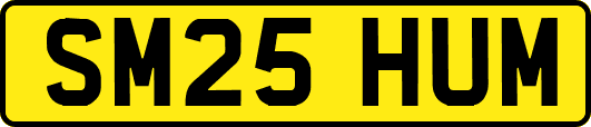 SM25HUM