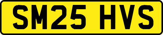SM25HVS